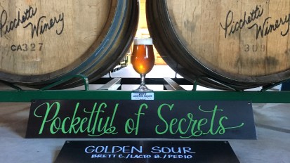 POCKETFUL OF SECRETS